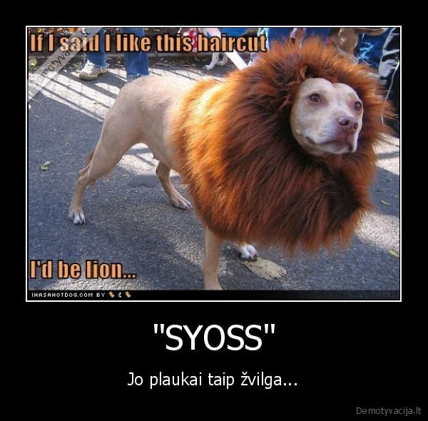 &quot;SYOSS&quot;