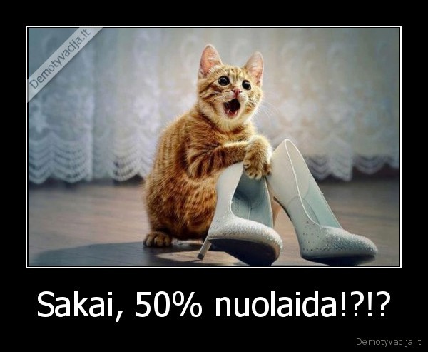 Sakai, 50% nuolaida!?!?