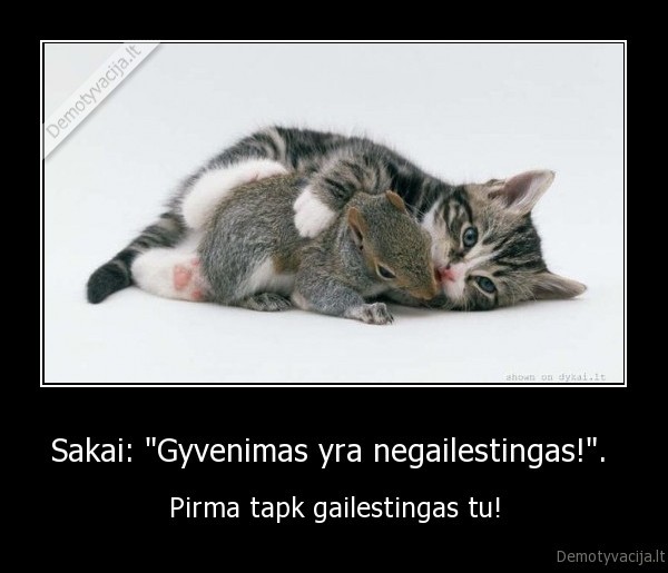 Sakai: &quot;Gyvenimas yra negailestingas!&quot;. 