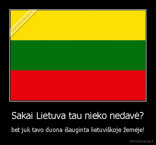 Sakai Lietuva tau nieko nedavė?