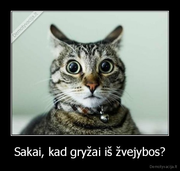 Sakai, kad gryžai iš žvejybos?