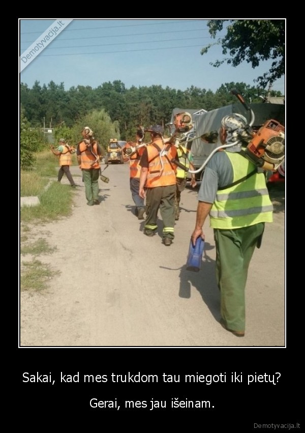 vasaros, pabaiga,zoles, pjovimas