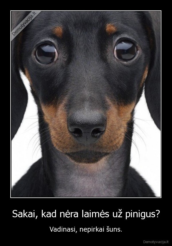 Sakai, kad nėra laimės už pinigus?