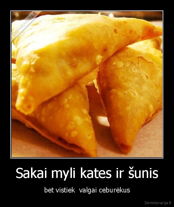 Sakai myli kates ir šunis