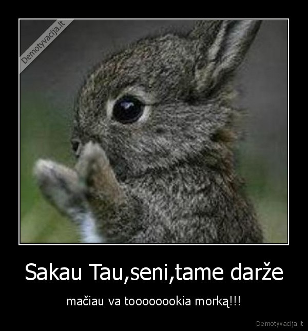 Sakau Tau,seni,tame darže