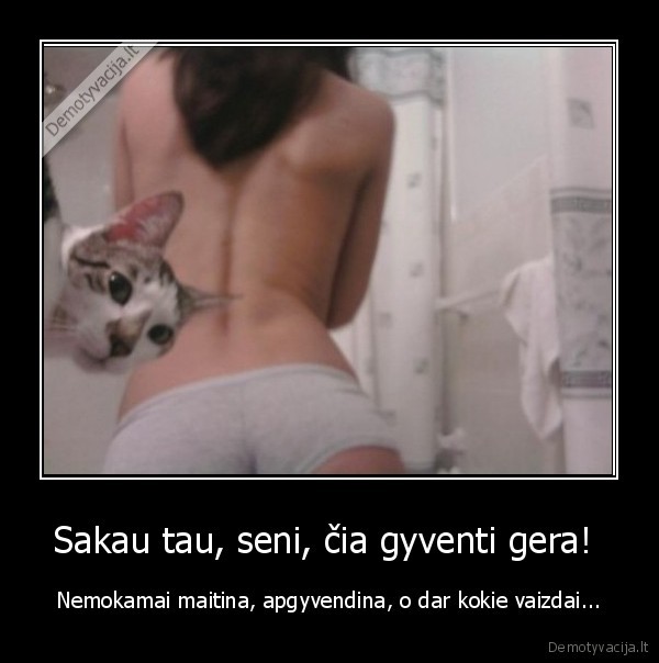 Sakau tau, seni, čia gyventi gera! 