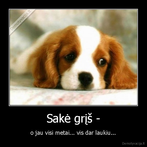 Sakė grįš -