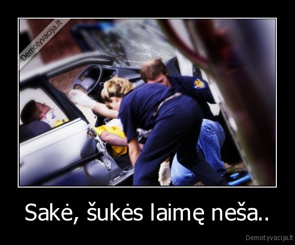 sake,sukes, laime, nesa