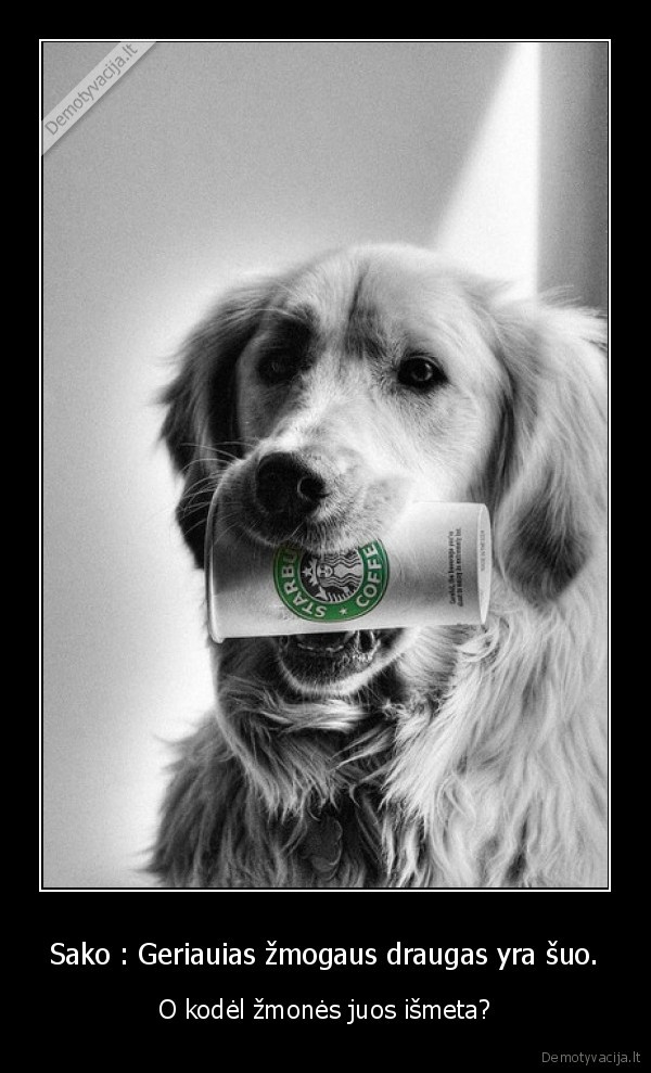 Sako : Geriauias žmogaus draugas yra šuo.