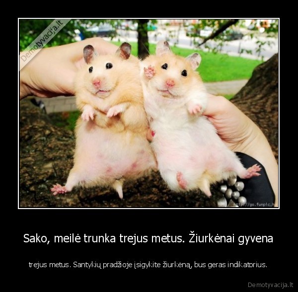 meile, trunka, 3, metus,ziurkeno, gyvenimo, trukme