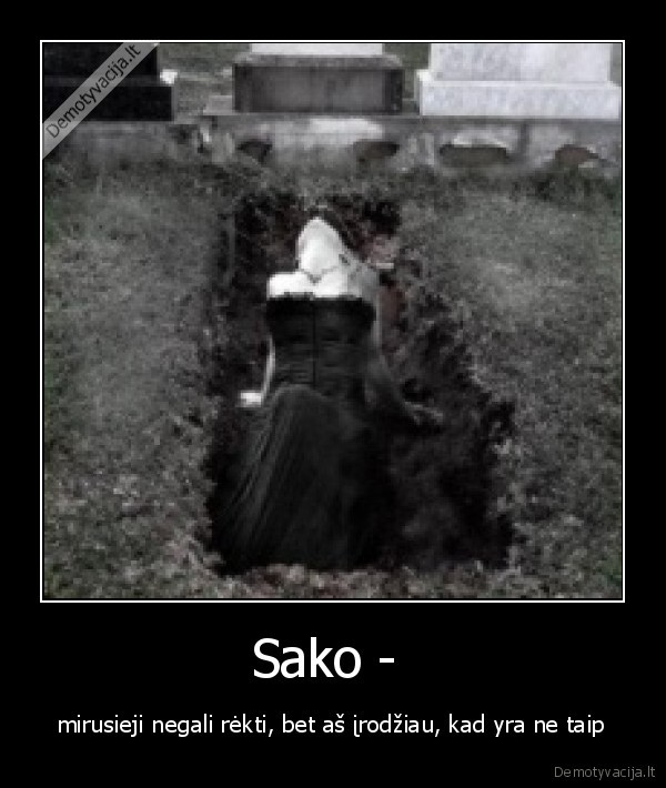 Sako - 