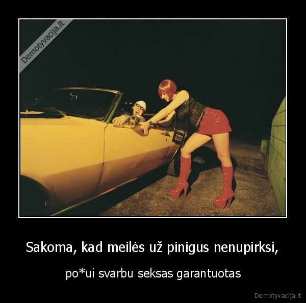 bubilius, kibys, tikras, darbdavys, d, like