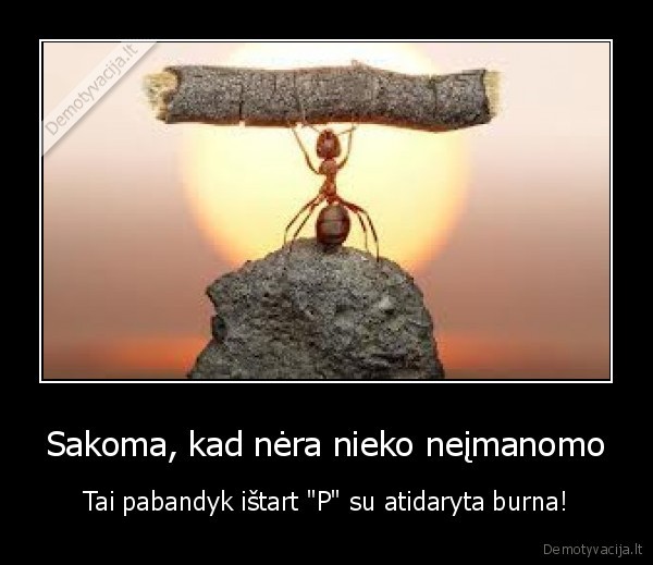 neimanoma,p,tarti,burna