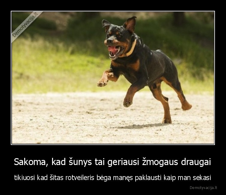 rotveileris,draugas,suo,piktas,zmogaus