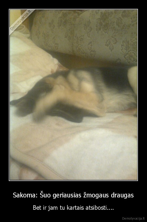 Sakoma: Šuo geriausias žmogaus draugas