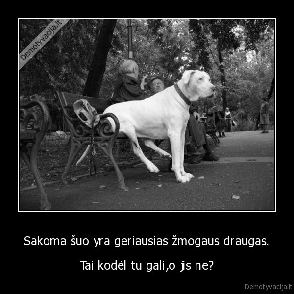 Sakoma, šuo yra geriausias žmogaus draugas.