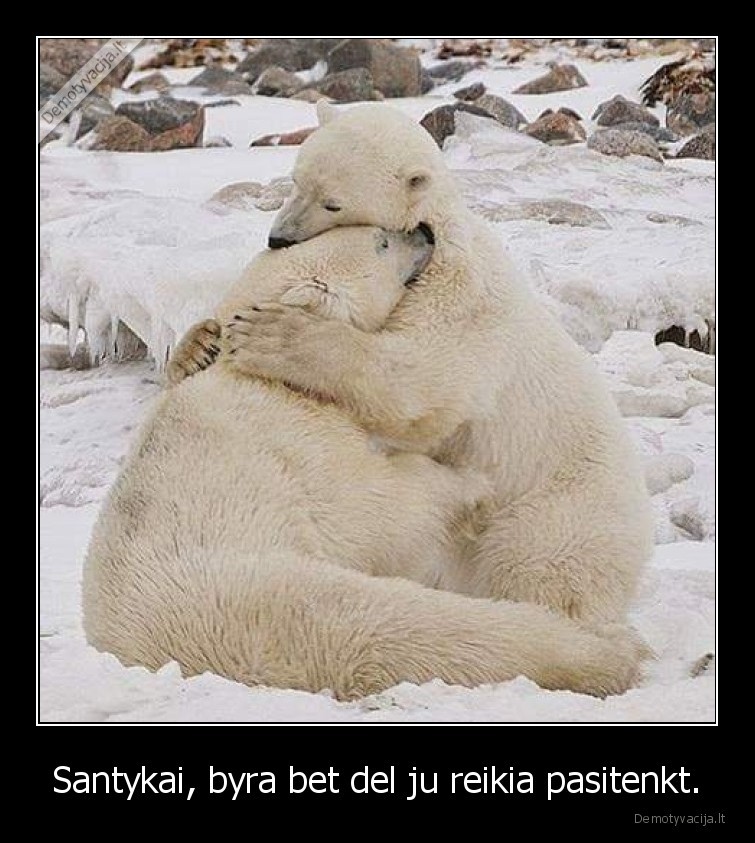 Santykai, byra bet del ju reikia pasitenkt.