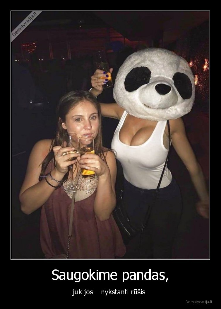 mergina,papai,panda