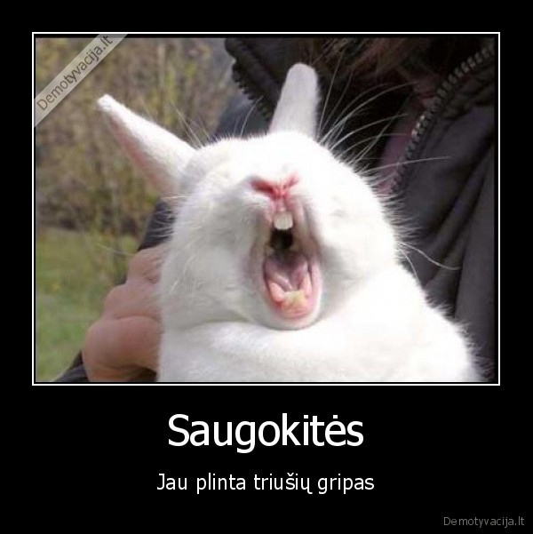 triusis,gripas,triusiu, gripas,ligos