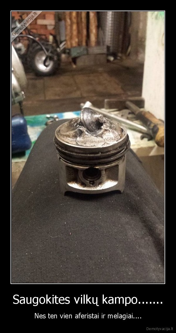 Saugokites vilkų kampo.......