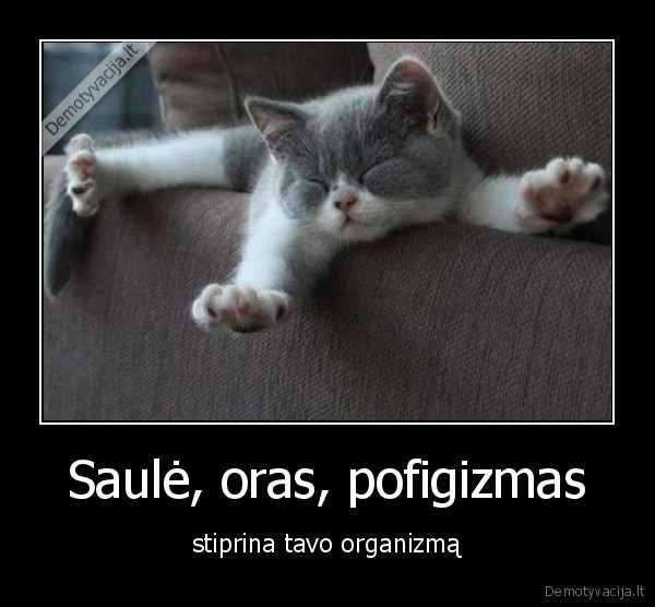 organizmas,pofigizmas