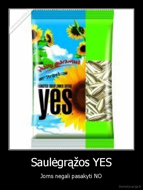 siemkos,kubilius,yes,no,vasara