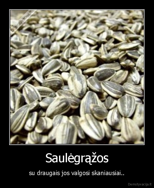 varom, i, stotele, pavalgyt, semkiu, varom, nusipirkt, semkiu,pagliaudysim