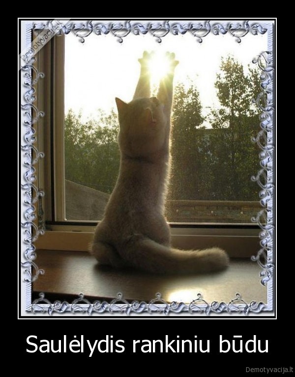 saulelydis,sauletekis,rankiniu, budu,katinas,grazu,langas,pro, langa