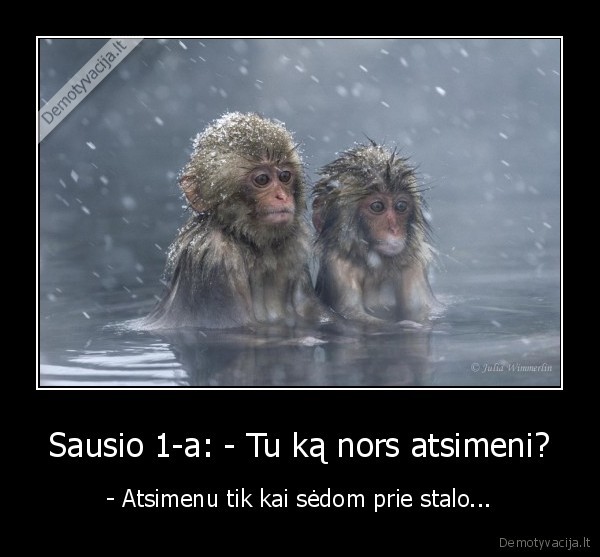 sausio, 1, diena,nauji, metai