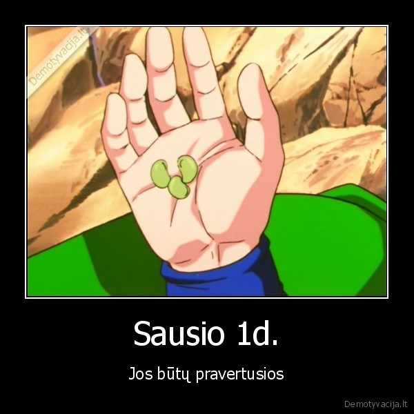 Sausio 1d.