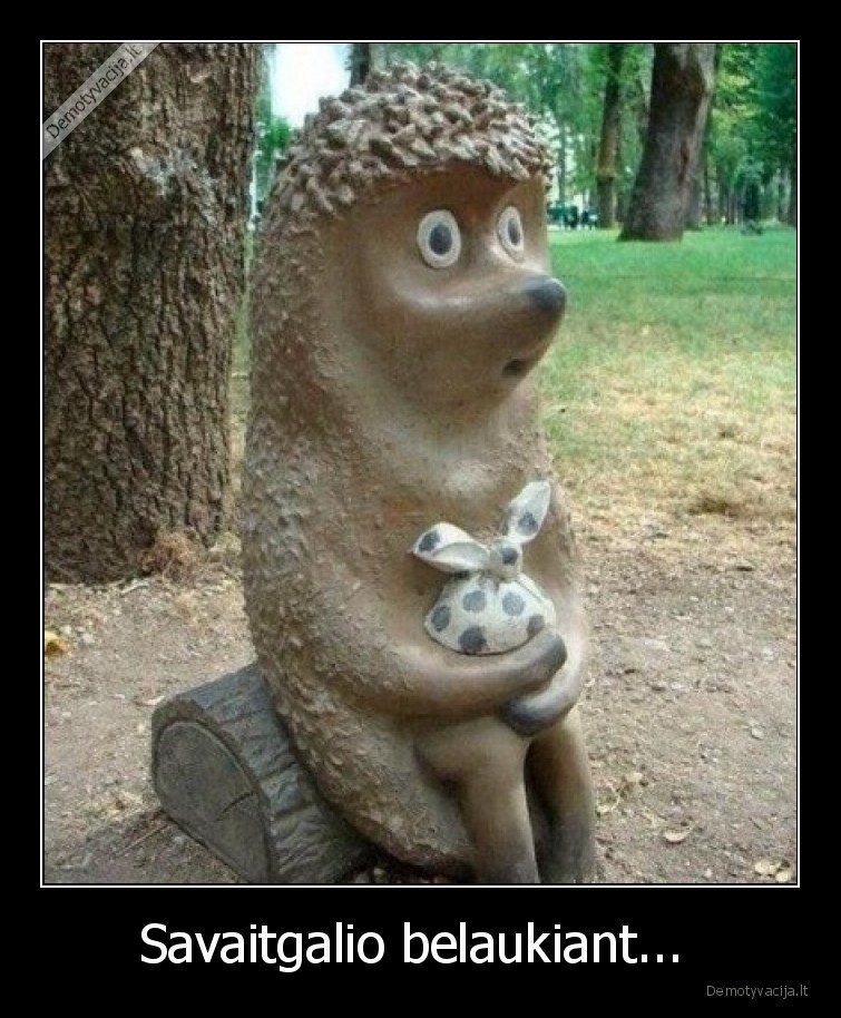 savaitgalis,eziukas,laukia