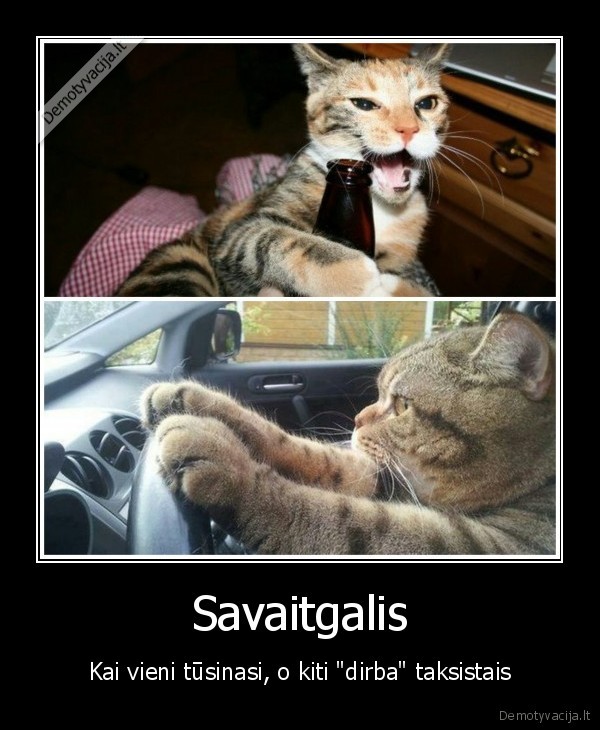 Savaitgalis