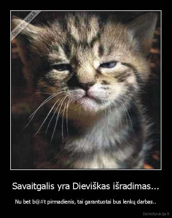 Savaitgalis yra Dieviškas išradimas...