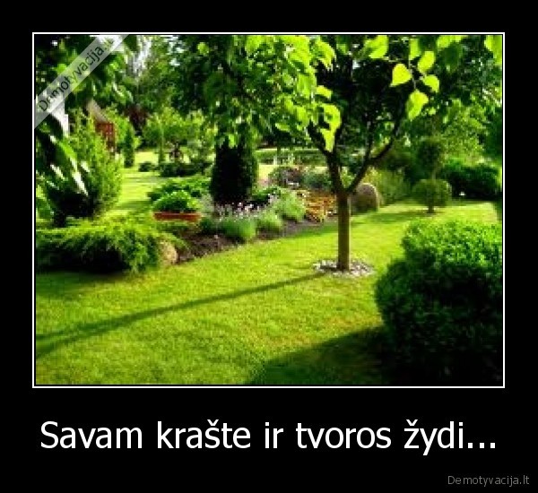 tvora,krastas,zydejimas