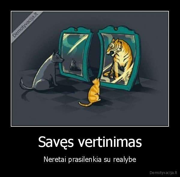 vertinti,save,prasilenkti,realybe,katinas,suo,veidrodis