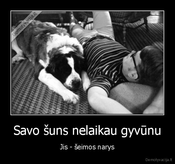 suo,seimos, narys,gyvunai