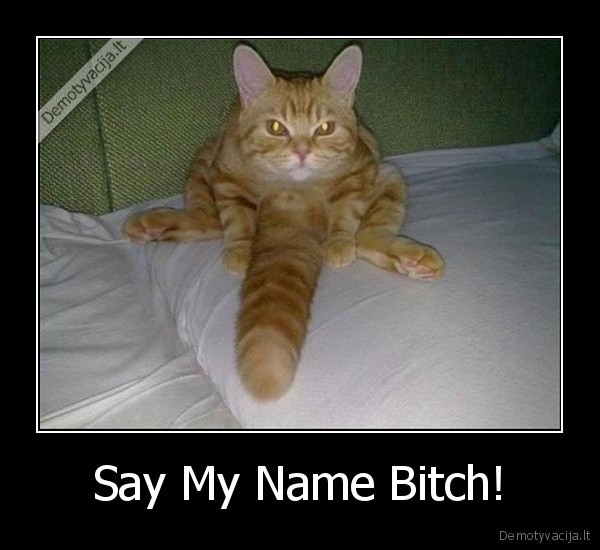 Say My Name Bitch!