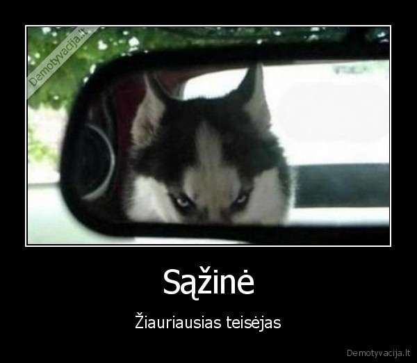 suo,veidrodelyje,sazine