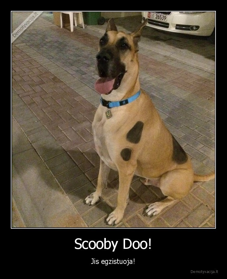 scooby, doo,suo,panasus,filmukas