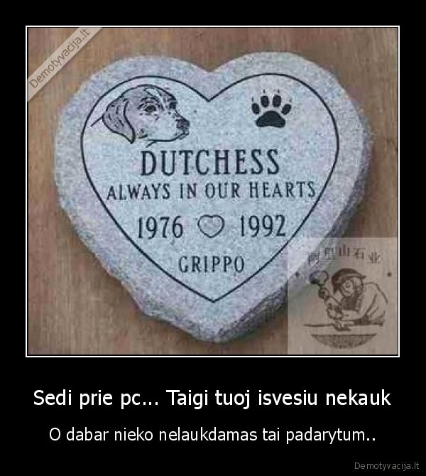 suo, mirtis, kompiuteris