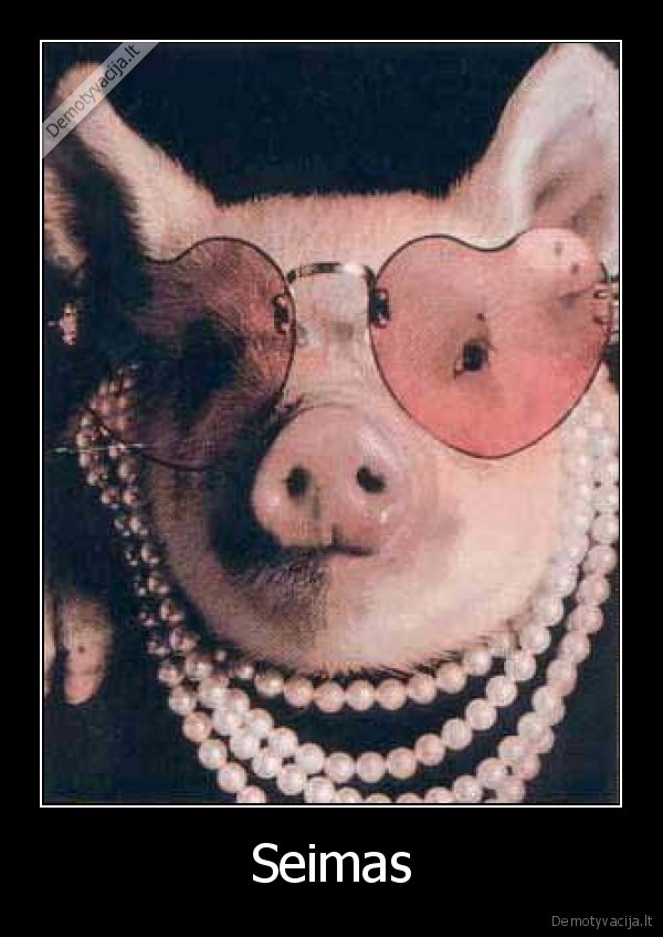 seimas,politika,gyvunai,kiaule