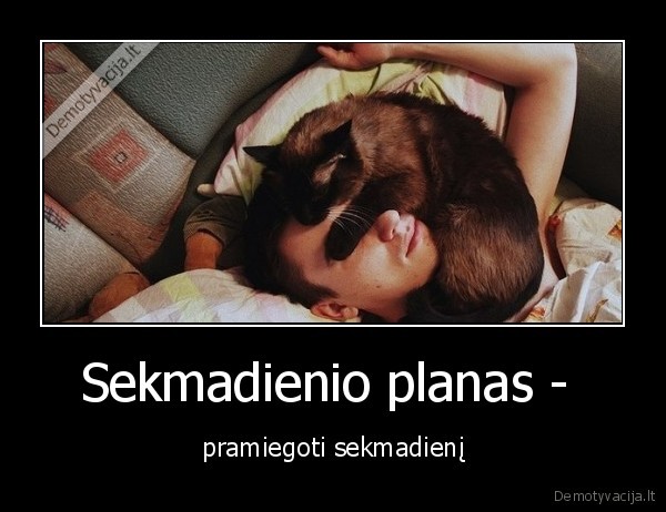 sekmadienis,miegoti