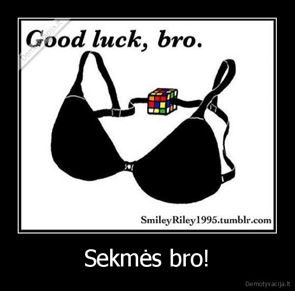 stanikas,kubiliau, nepavyks,vagie