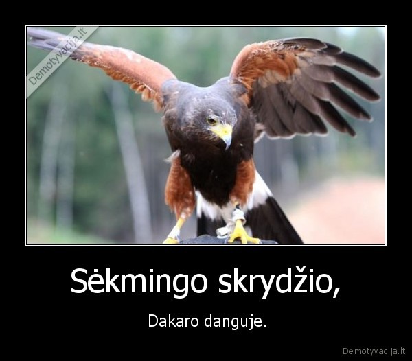 argentina,benediktas, vanagas,dakaro, ralis