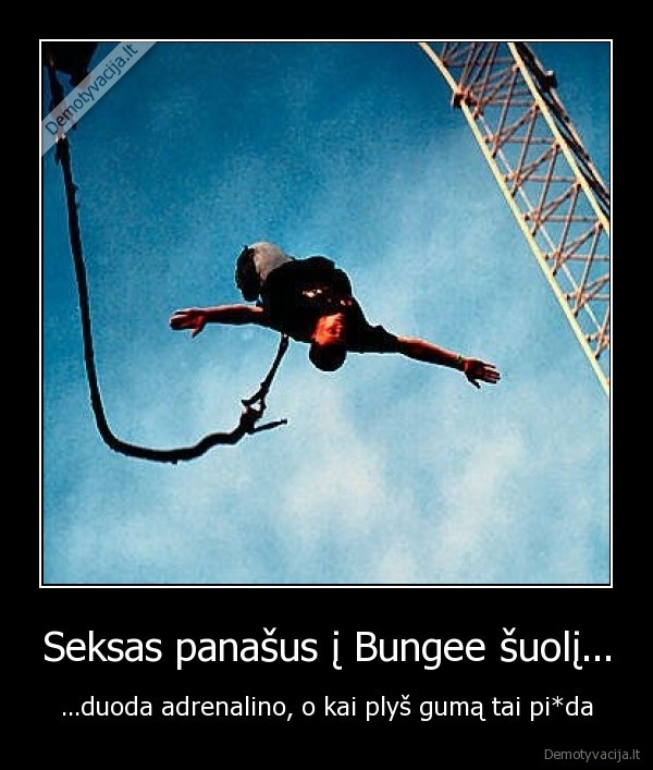 sekses,bungee, suolis,guma