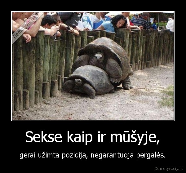 Sekse kaip ir mūšyje,