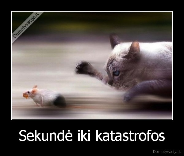 Sekundė iki katastrofos