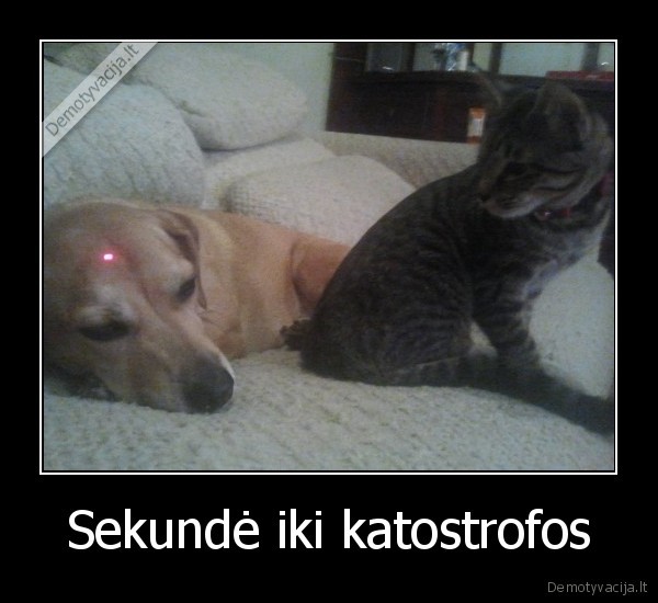 Sekundė iki katostrofos