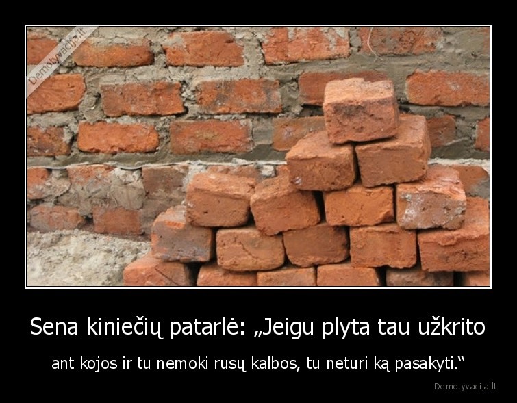 kinieciu,patarle,plyta,rusu, kalba,keiksmazodziai