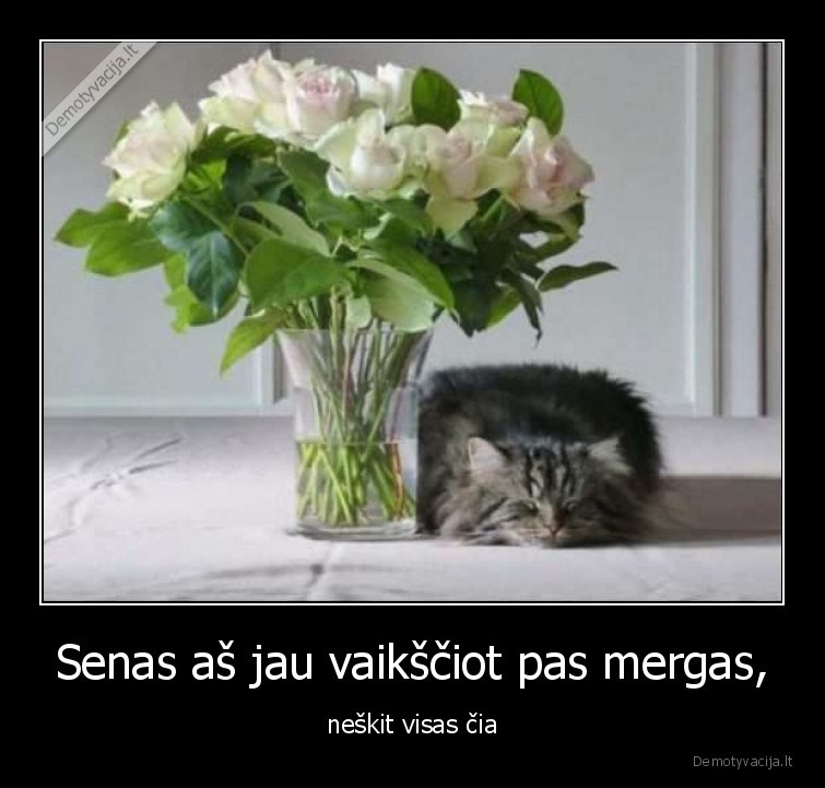 vaiksciot,mergos,katinas,senas